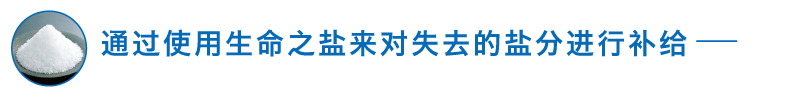 ミネラル命の塩で失われた塩分補給