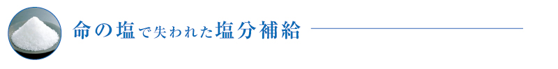 ミネラル命の塩で失われた塩分補給